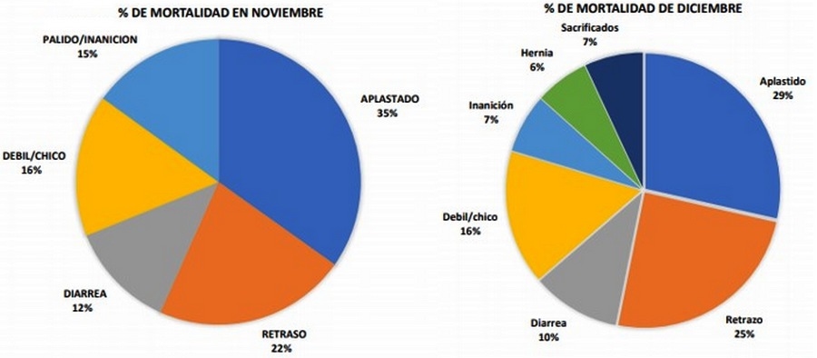 La maternidad vista como procesos de producción - Image 5