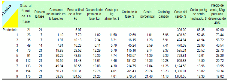 Aspectos Practicos sobre el crecimiento del cerdo. - Image 5