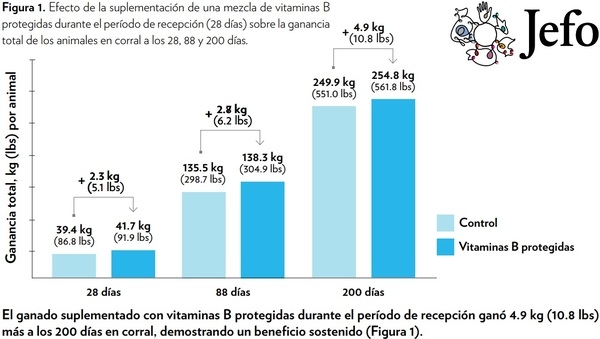 EFECTO DE LA VITAMINAS B PROTEGIDAS DURANTE EL PERÍODO DE RECEPCIÓN EN EL DESEMPEÑO DEL GANADO DE CARNE - Image 3
