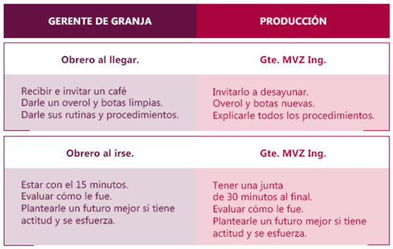 En porcicultura lo más importante, después del cerdo, es el personal - Image 10