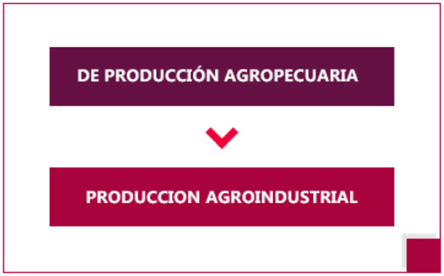 En porcicultura lo más importante, después del cerdo, es el personal - Image 4