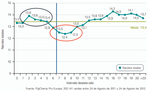 Figura 8. Influencia del intervalo destete-celo sobre los nacidos totales.
