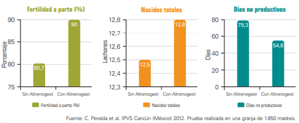 Figuras 4-6. Resultados de la aplicación de Altrenogest durante 7 días en hembras de 2º parto.