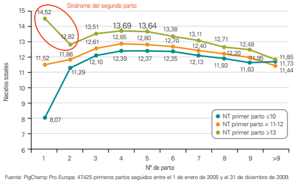 Figura 3. Influencia del número de lechones nacidos en el primer parto sobre toda la vida productiva de la cerda.
