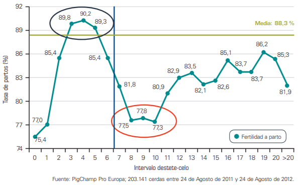 Figura 7. Influencia del intervalo destete-celo sobre la fertilidad a parto.