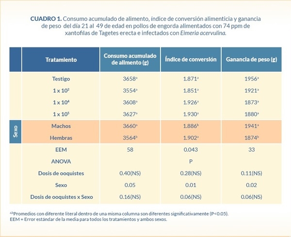 Absorción y depósito de xantofilas en pollos de engorda desafiados con tres diferentes niveles de ooquistes de Eimeria acervulina - Image 1