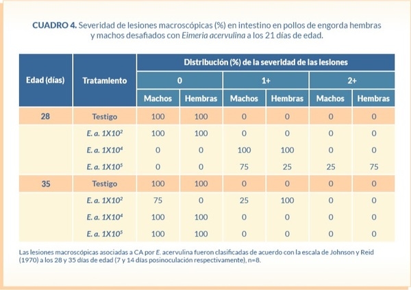 Absorción y depósito de xantofilas en pollos de engorda desafiados con tres diferentes niveles de ooquistes de Eimeria acervulina - Image 7