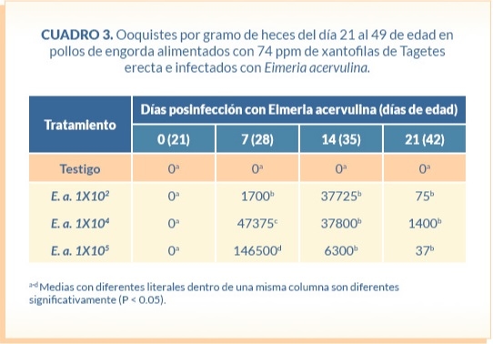 Absorción y depósito de xantofilas en pollos de engorda desafiados con tres diferentes niveles de ooquistes de Eimeria acervulina - Image 6