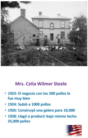 66 observaciones - Image 6
