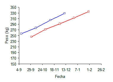 Producción de carne en suelos bajos con agropiro o festuca en el primer año de implantación - Image 2