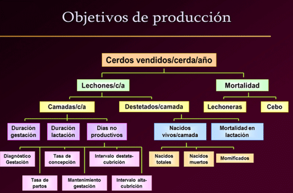 Cuadro de mandos básico de los objetivos productivos.