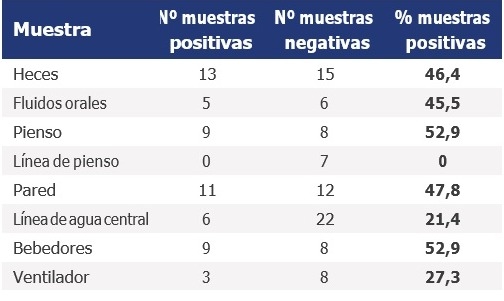 Erisipela porcina: Una bacteria reemergente con alto impacto económico - Image 3