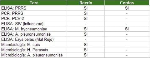 Planteamientos generales que ayuden al control de patógenos en producción de cerdo ibérico - Image 6