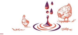 Manual de pollo de engorde - Image 10