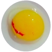 Algunos cuadros clínicos asociados con micotoxicosis en gallinas - Image 1