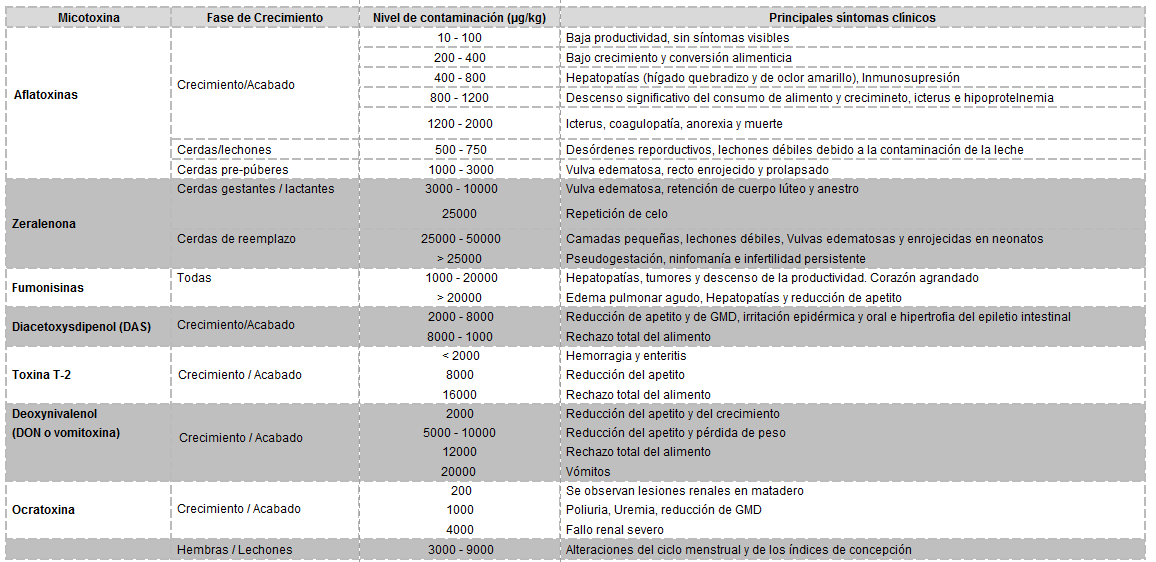 Micotoxinas en cerdos. Diagnosis y Relación con enfermedades víricas - Image 1