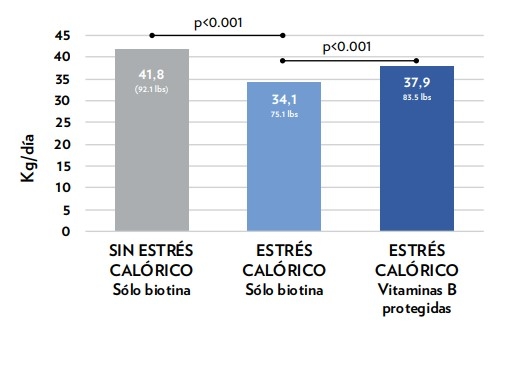 Estrés calórico es dañino para sus vacas: suplementar con vitaminas B protegidas puede ayudarles - Image 1