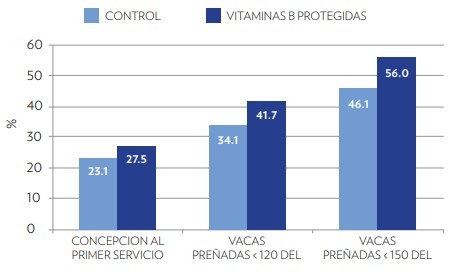 Estrés calórico es dañino para sus vacas: suplementar con vitaminas B protegidas puede ayudarles - Image 2