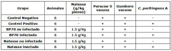 Efecto de Butirato Sódico protegido (Gustor BP70) y su combinación con aceites esenciales (Natesse) en modelo de infección artificial para provocar Enteritis Necrótica en Broilers - Image 3