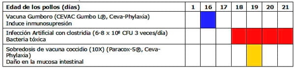 Efecto de Butirato Sódico protegido (Gustor BP70) y su combinación con aceites esenciales (Natesse) en modelo de infección artificial para provocar Enteritis Necrótica en Broilers - Image 1