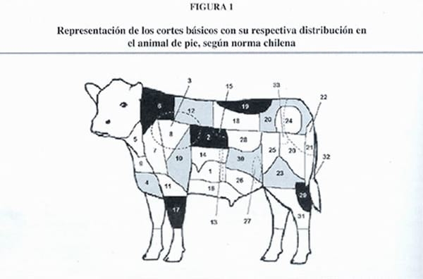 Determinación de Hierro, Zinc y cobre en carne de bovino - Image 1