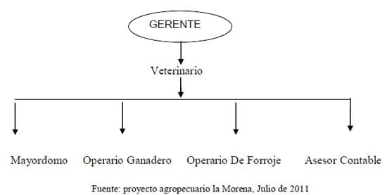 Plan de negocios para montar un proyecto Bovino agrosilvopastoril ECOLOGICO autosuficiente - Image 2