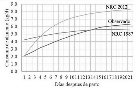 Recomendaciones para el cálculo de consumo de alimento de cerdas en lactancia. - Image 1