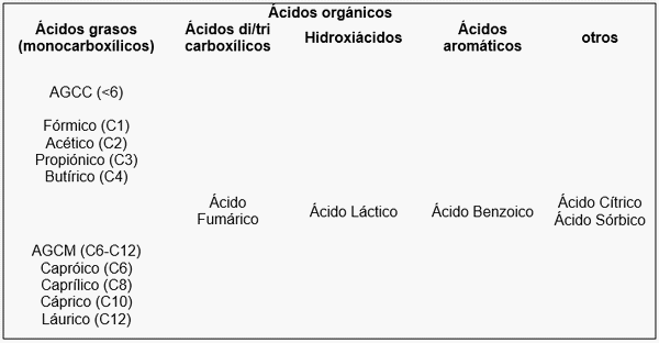 Ácidos Orgánicos - Image 1