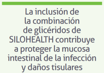 Monoglicéridos de ácidos orgánicos para el control de patógenos y mejora de la salud intestinal en pollos - Image 4