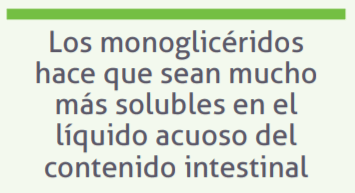 Monoglicéridos de ácidos orgánicos para el control de patógenos y mejora de la salud intestinal en pollos - Image 2