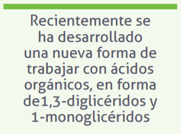 Monoglicéridos de ácidos orgánicos para el control de patógenos y mejora de la salud intestinal en pollos - Image 1