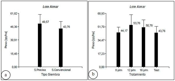 Producción de frutos y Granometría de maní en siembra con distribución homogénea - Image 6