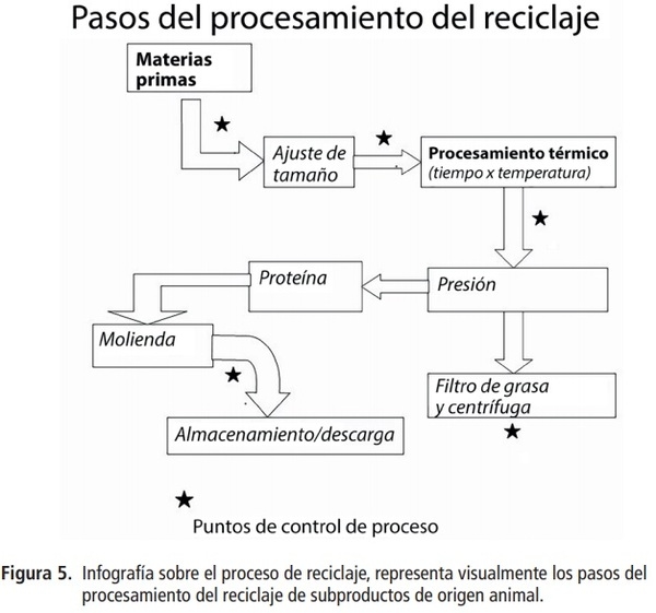 Cómo el reciclaje pecuario apoya a la sustentabilidad y promueve la capacidad del ganado de aportar más que alimentos - Image 5