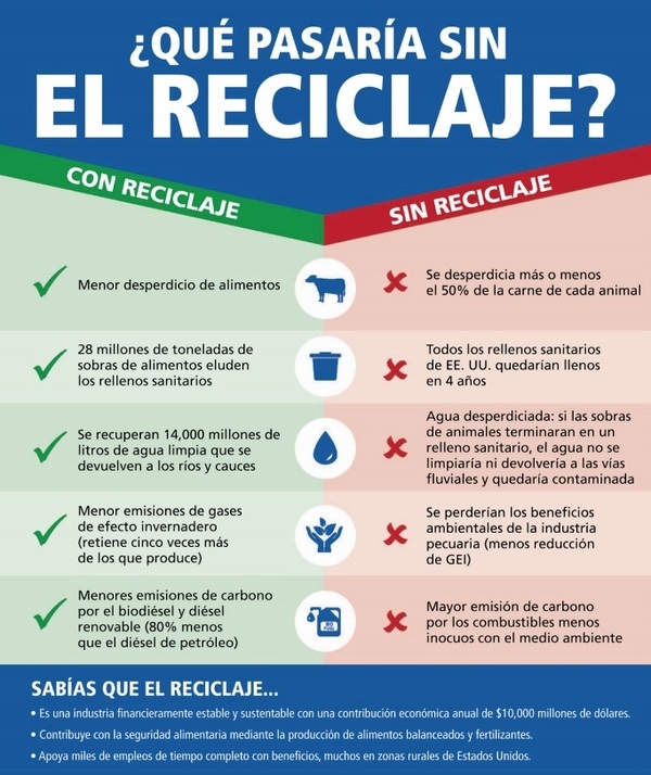 Cómo el reciclaje pecuario apoya a la sustentabilidad y promueve la capacidad del ganado de aportar más que alimentos - Image 9