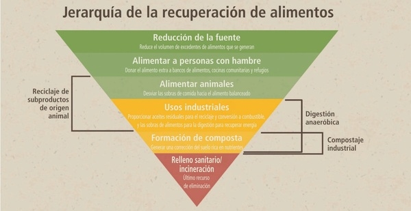 Cómo el reciclaje pecuario apoya a la sustentabilidad y promueve la capacidad del ganado de aportar más que alimentos - Image 7