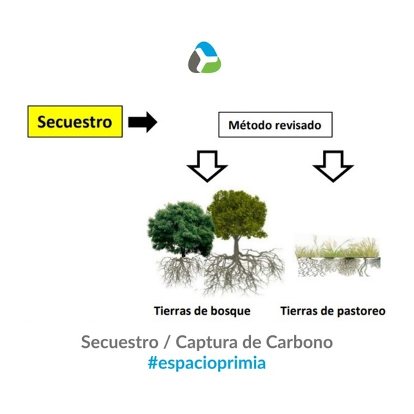 Ganadería y balance de carbono - Image 3