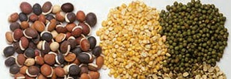 La gestión de las operaciones, su importancia en la calidad y productividad de plantas de alimentos balanceados - Image 2
