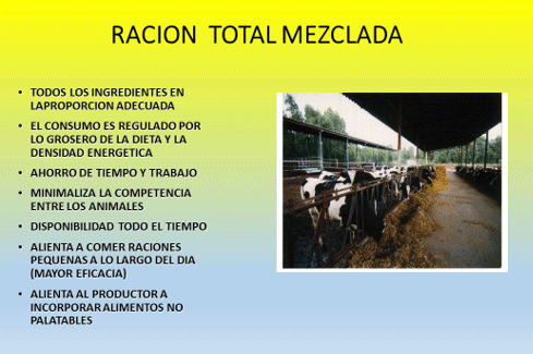 CENTROS DE ALIMENTACION PARA GANADO LECHERO: - Image 7