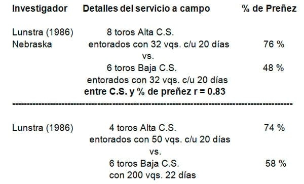 Capacidad de servicio: Despejando el mito sobre la C.S. en los EE.UU - Image 1