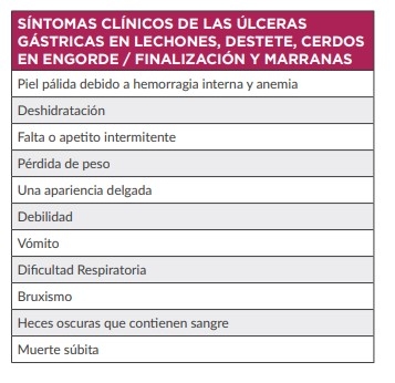 Impacto de las úlceras gástricas - Image 1