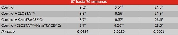El uso de Clostat® Dry y KemTrace® Chromium en la calidad de los huevos de las gallinas reproductoras - Image 6