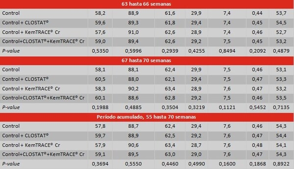 El uso de Clostat® Dry y KemTrace® Chromium en la calidad de los huevos de las gallinas reproductoras - Image 4