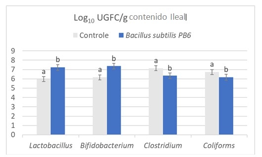 Herramienta de control de enteritis necrótica en avicultura - Image 3