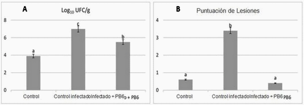 Herramienta de control de enteritis necrótica en avicultura - Image 1