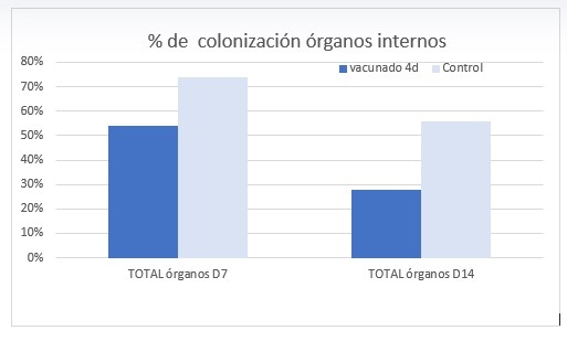 Salmonella en aves: ¿Podemos vacunar durante el periodo de producción de huevos con total seguridad? - Image 4