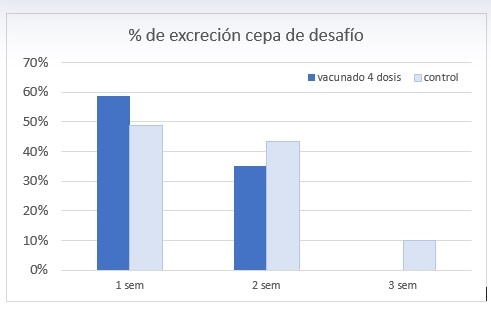 Salmonella en aves: ¿Podemos vacunar durante el periodo de producción de huevos con total seguridad? - Image 3