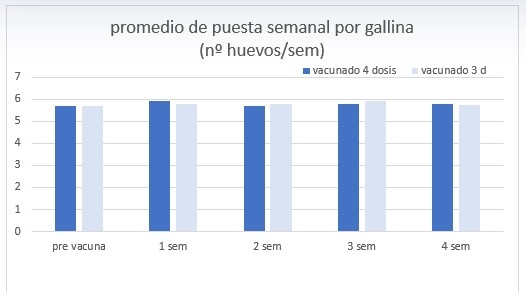 Salmonella en aves: ¿Podemos vacunar durante el periodo de producción de huevos con total seguridad? - Image 2