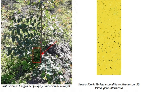 Ensayo con sistema de pulverización terrestre con aspersores rotativos - Image 2