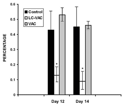 La vacunación simultánea de bovinos con Lactobacillus casei y la vacuna bivalente contra babesiosis bovina genera una mejor protección contra Babesia bovis y B. bigemina transmitidas por garrapatas en condiciones extremas de campo - Image 3