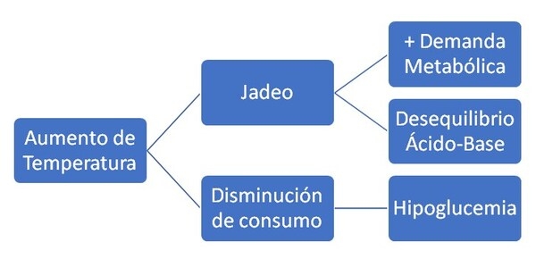 La silimarina como herramienta de control del estrés en la producción animal - Image 1